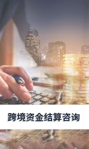 跨境资金结算咨询
